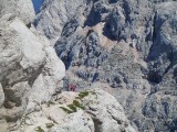 28. veselje